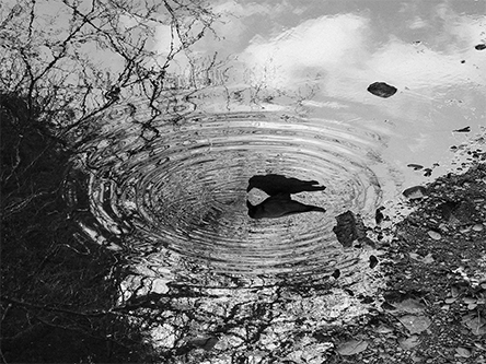 河北 友子 「沈黙の音」