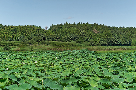 久保木 英紀 「マイホームタウン」