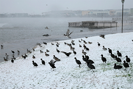 山崎 弘義 「AROUND LAKE TOWN」