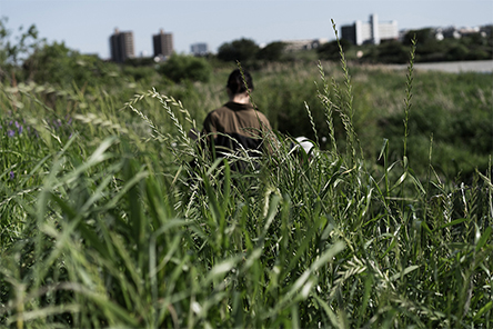 西河 哲也 「帰化植物」