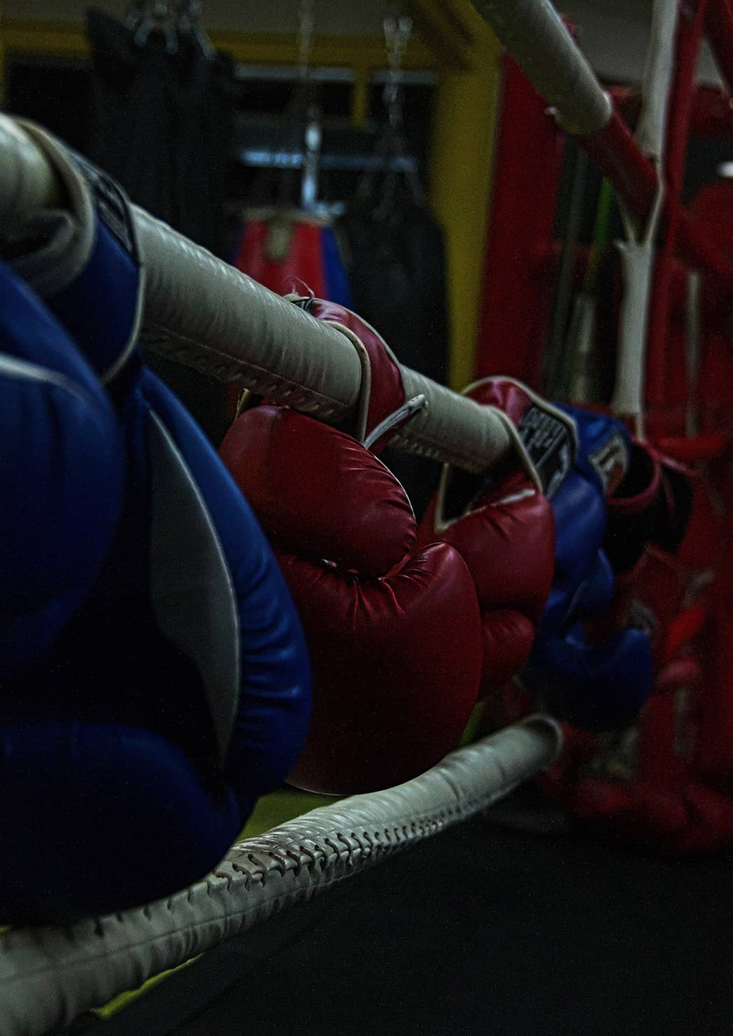 「闘志」 朝倉 夢翔（組写真：1/4）