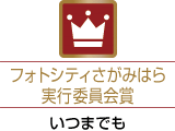 フォトシティさがみはら賞「いつまでも」
