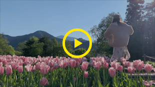 のこしたい。その瞬間と、