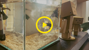 【私の日常】スマホで撮る休日のはじめ方