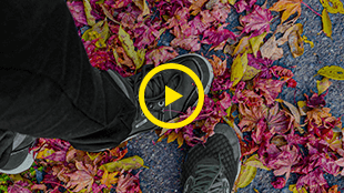 これまで そして これから -私の日常とお仕事と家庭-