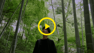 鎌倉フォトウォーク