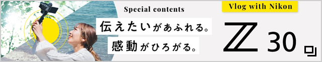Z 30スペシャルコンテンツのバナー