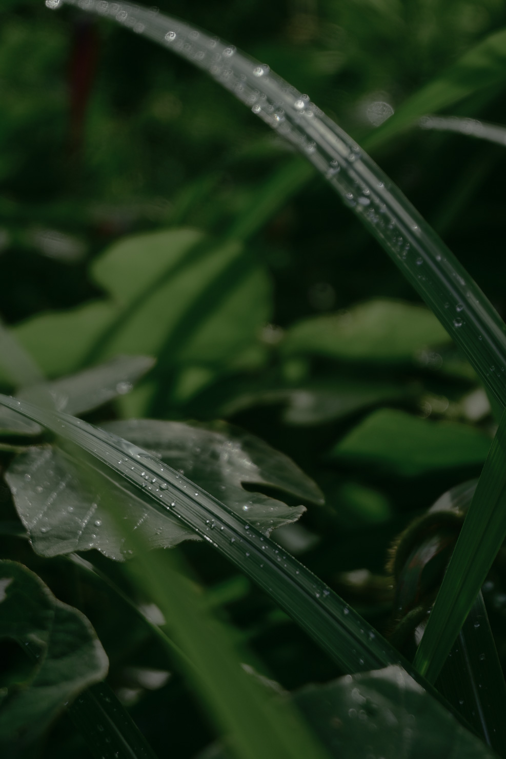 「不感世界」 石川 修麻（組写真：1/4）