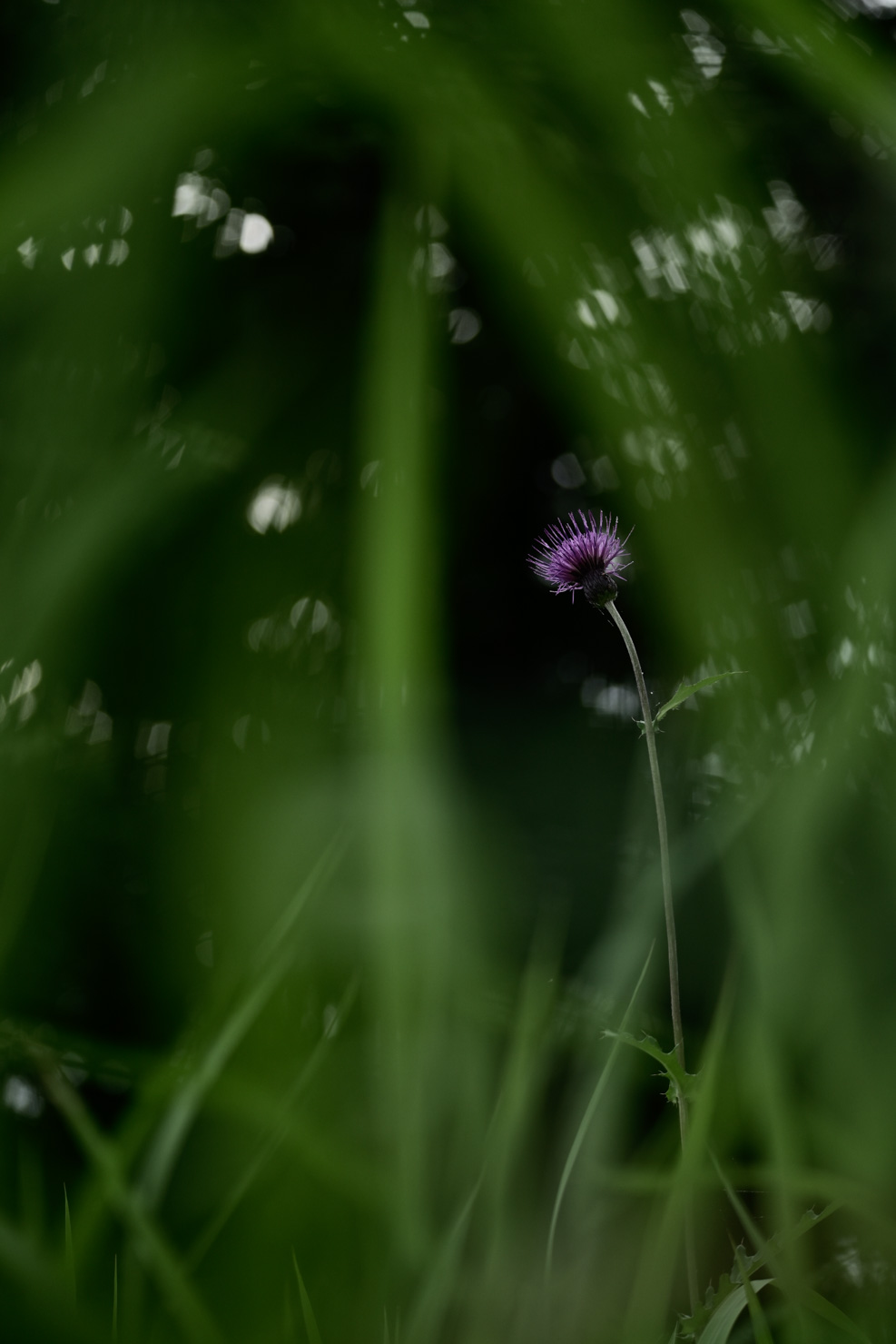 「不感世界」 石川 修麻（組写真：2/4）