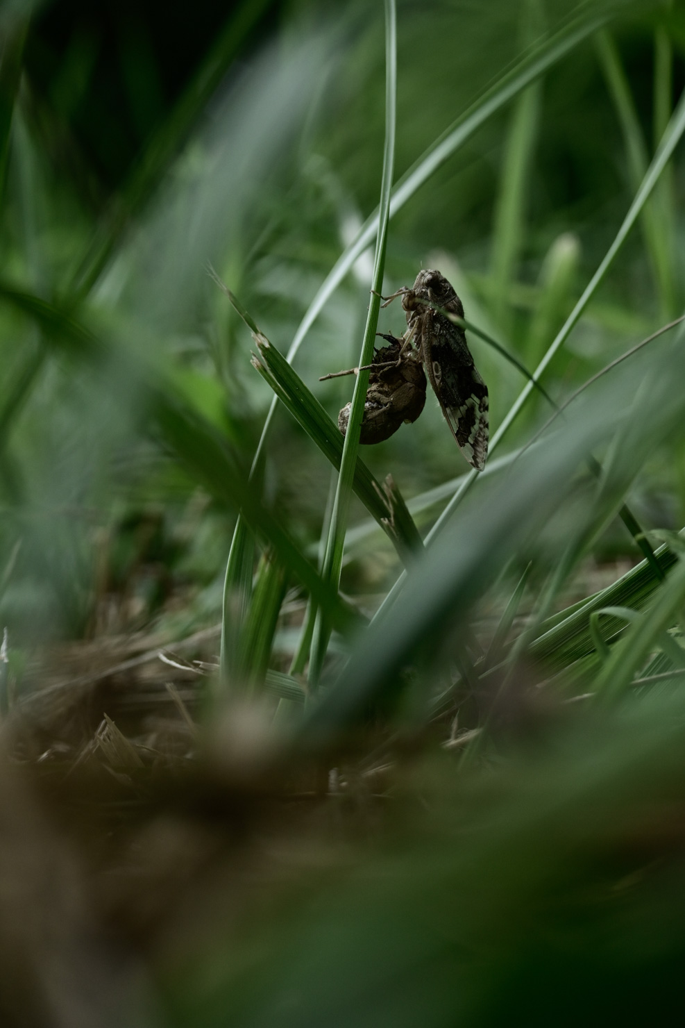 「不感世界」 石川 修麻（組写真：3/4）