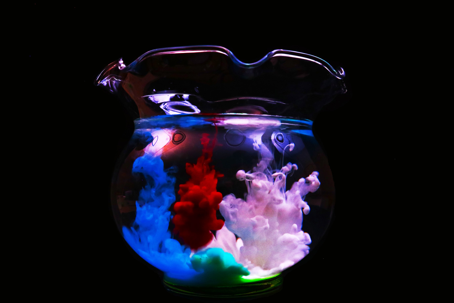 「主役」 須田 芽依（組写真：3/3）