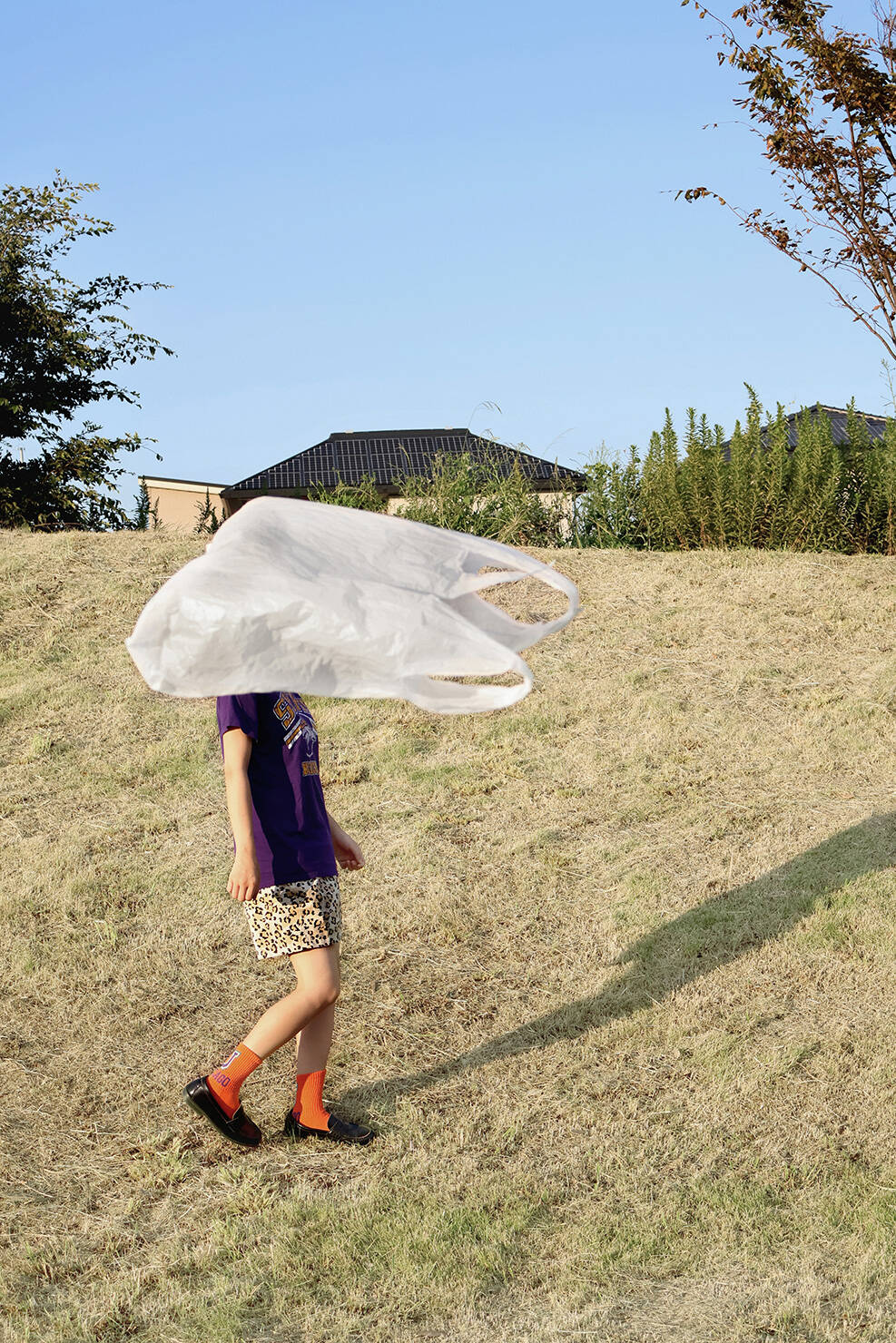 「飛んできた！」 谷坂 陽菜（組写真：2/4）