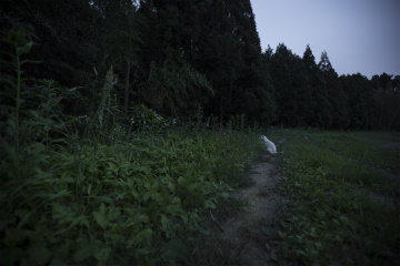 越沼 玲子 写真展