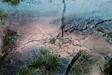 森下 博子 写真展