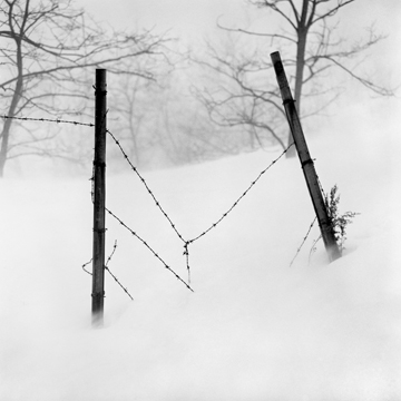 谷口 能隆 写真展