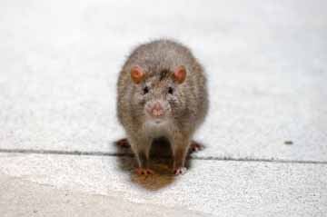 原 啓義 写真展