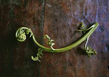 小倉 沙央里 写真展