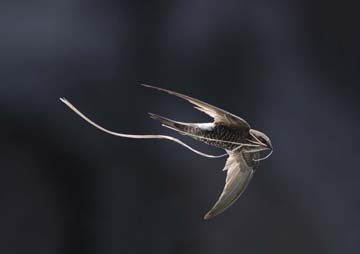 佐藤 信敏 写真展