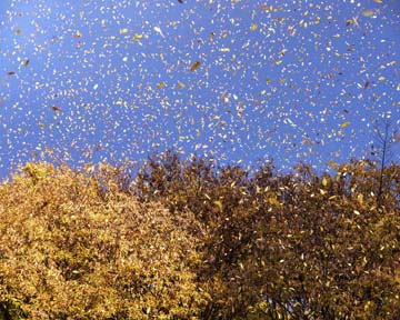 二川 征彦 写真展