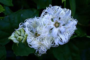 下瀬 信雄 写真展