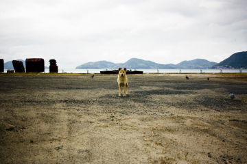 中間 麻衣 写真展