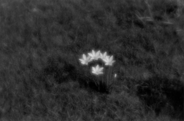 平林 達也 写真展