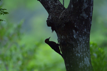 深澤 武 写真展