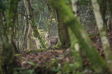 越沼 玲子 写真展