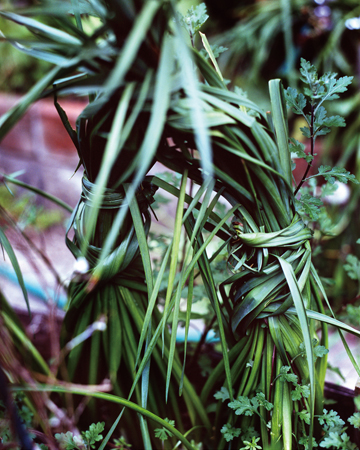 片岡 俊 写真展