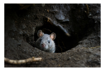 原 啓義 写真展