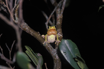 氏家 聡 写真展