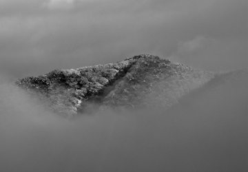 荒井 俊明 写真展