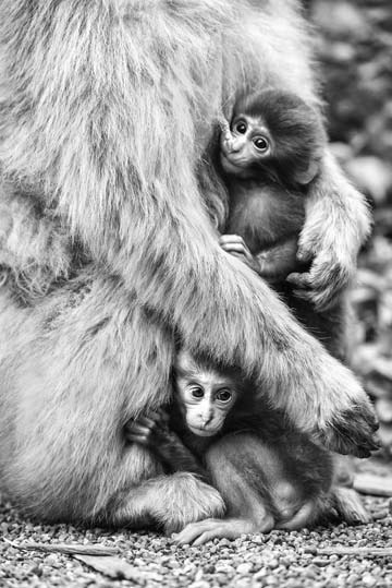 清野 健人 写真展