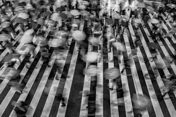 ニッコールクラブ きらり東海道支部 10周年記念写真展