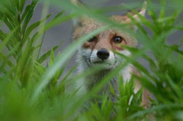 渡邉 智之 写真展