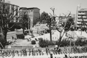 土居 迪子 写真展