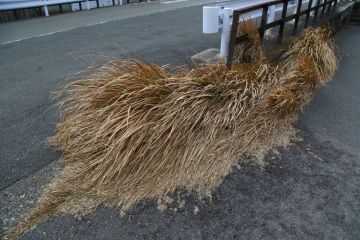 高井 博 写真展