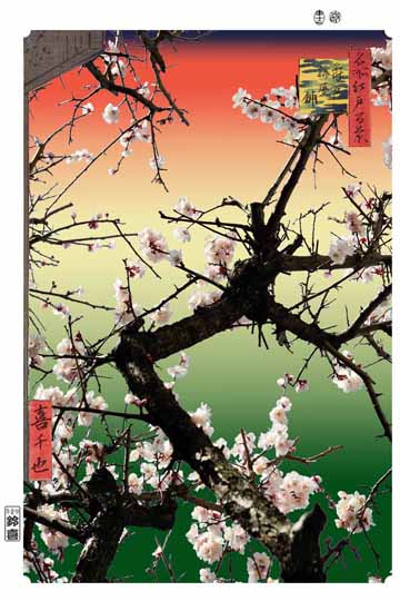 浮世写真家 喜千也 個展