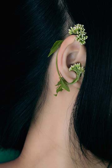 大阪芸術大学写真学科 平成29年度卒業制作選抜展