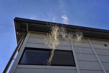 児玉 洋之 写真展