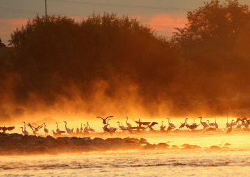 読売写真クラブ