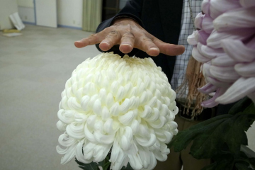 新海 裕幸 写真展