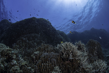 中村 卓哉 写真展