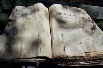 藤岡 亜弥 写真展 with AKAAKA