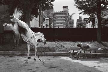 第66回ニッコールフォトコンテスト入賞作品展