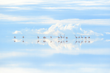 高砂 淳二 写真展