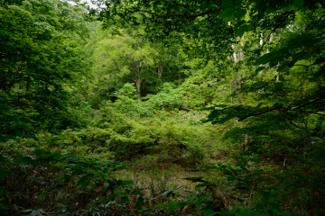 高戸 二三男 写真展