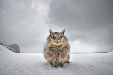 土肥 美帆 写真展