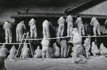 全日本写真展 2019