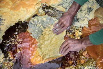 ニコンサロン写真展年度賞受賞作品展